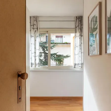 Along The Tiber Roma