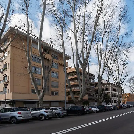 Daire Along The Tiber